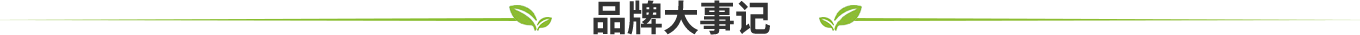 品牌大事記