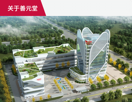 關(guān)于善元堂